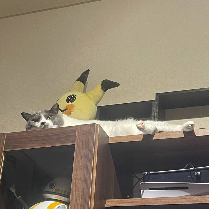 5c0957c0 2df3 400f 8b03 f57e19e768b4 1686331509861