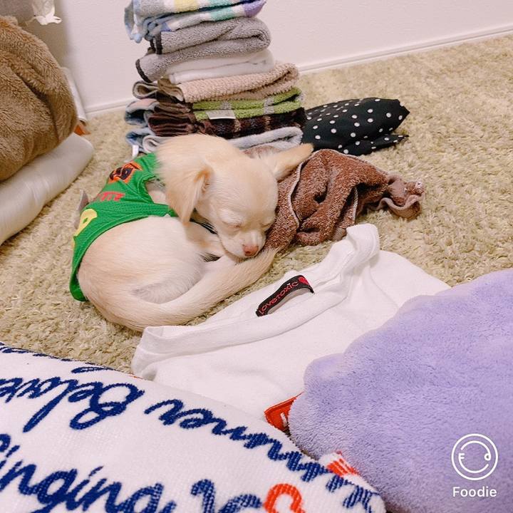 5c097411 9c6c 4fd3 a826 00229088f2b3 1599627002149