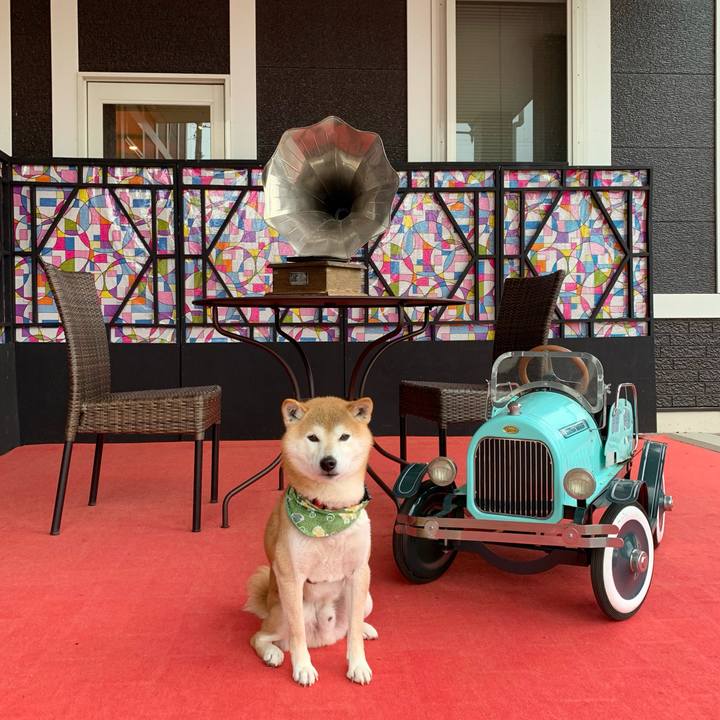 5c09757a 0d39 4d70 994a 7ae1abf3b4d4 1611821120680