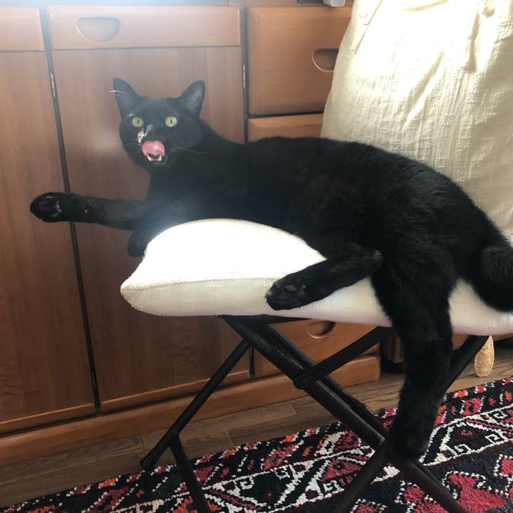 5c098b3d 9ec9 4fb6 90ae a6511d0e9380 1627433534521