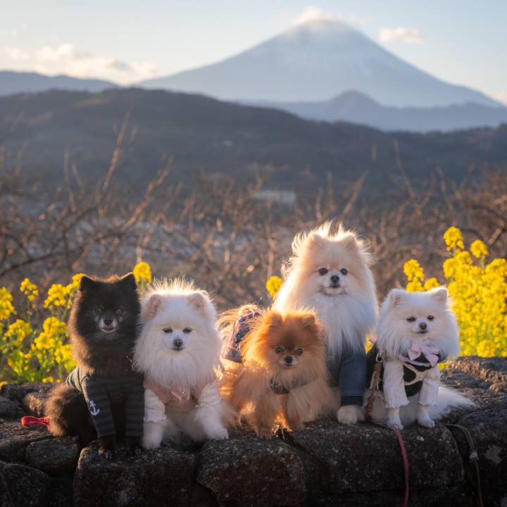 5c0993df de4a 4a29 a60c f44c3860aff5 1609715019749