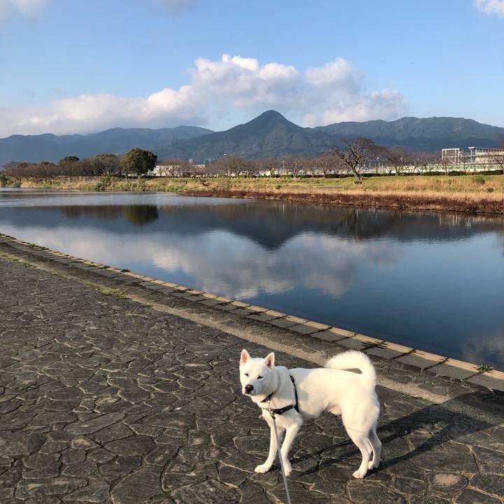 5c099fa3 a916 4912 93ce b127e8b50487 1584573506419