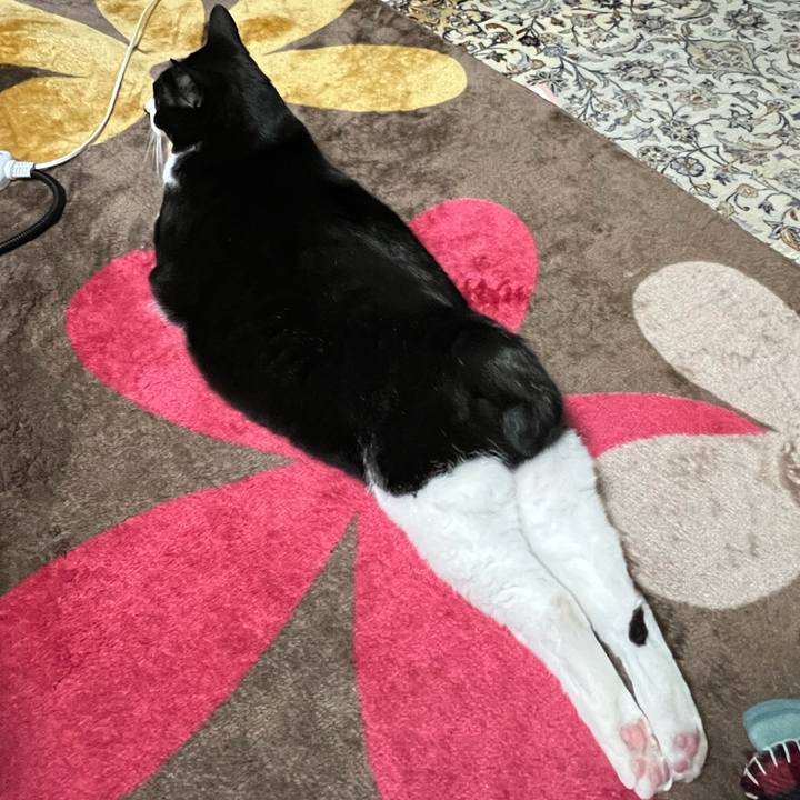 5c09a082 d5ff 4e10 9f58 7d30cb5c4e34 1772026491243