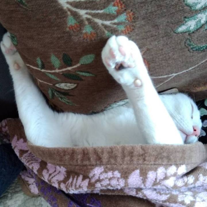 5c09acba 5daa 445a 8520 be6470b24eb5 1703833196917