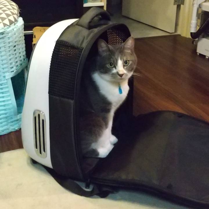 5c09ea2d cb74 43f3 80c7 78895570ba97 1637409886873