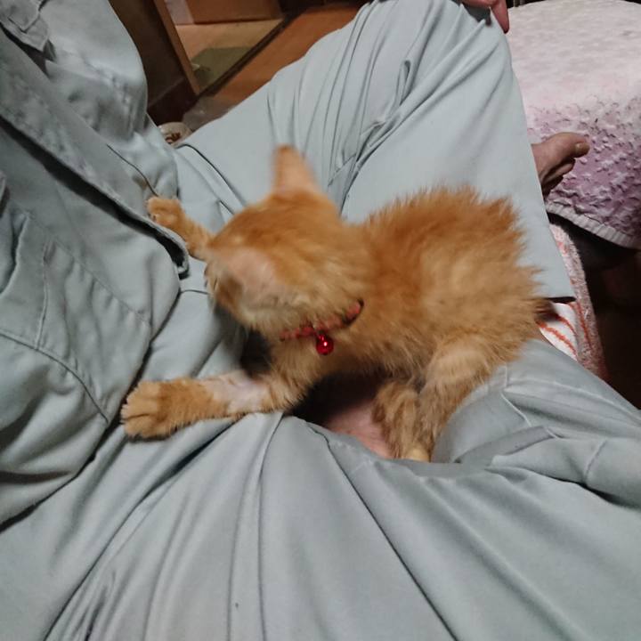 5c09f9a4 a42c 4459 8ea8 1e9e1a1fdb9f 1628285672828