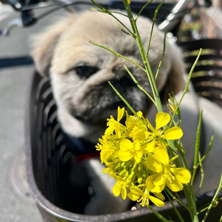 5c09fd4f 1219 4b41 b87e e59634da8044 1743737667837