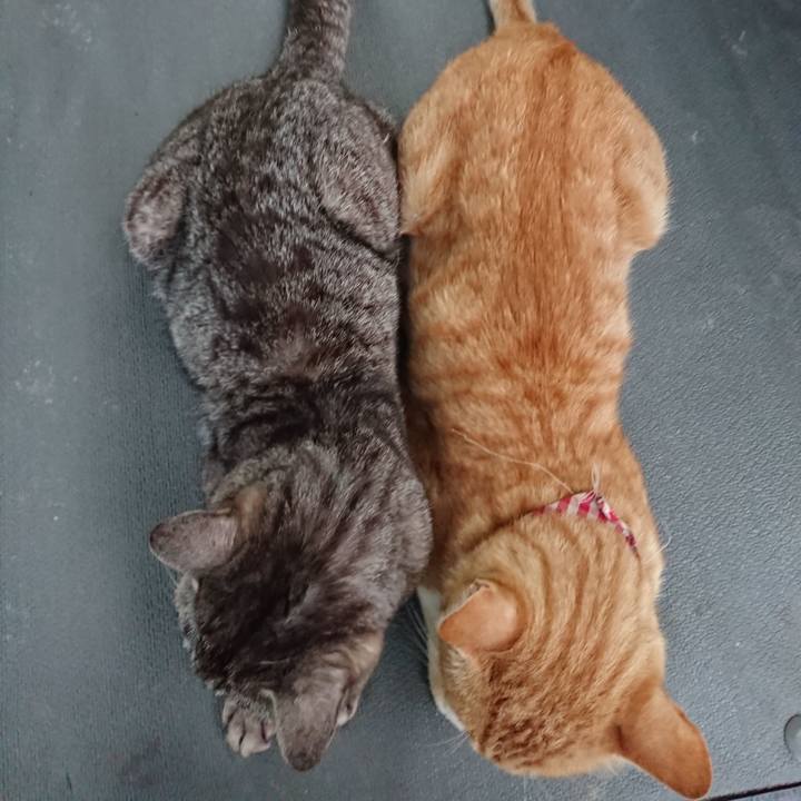 5c0a19f4 140e 4664 ac9a 7f9a6ed0f48b 1561975416214