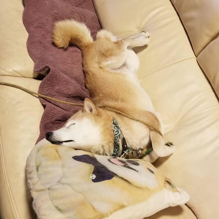 5c0a29c8 b983 4c48 8ce3 081a45c579ef 1706783295819