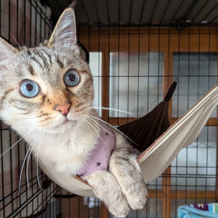 5c0a82fb ce19 4ce4 939f 041e12d4f0bd 1749348008454