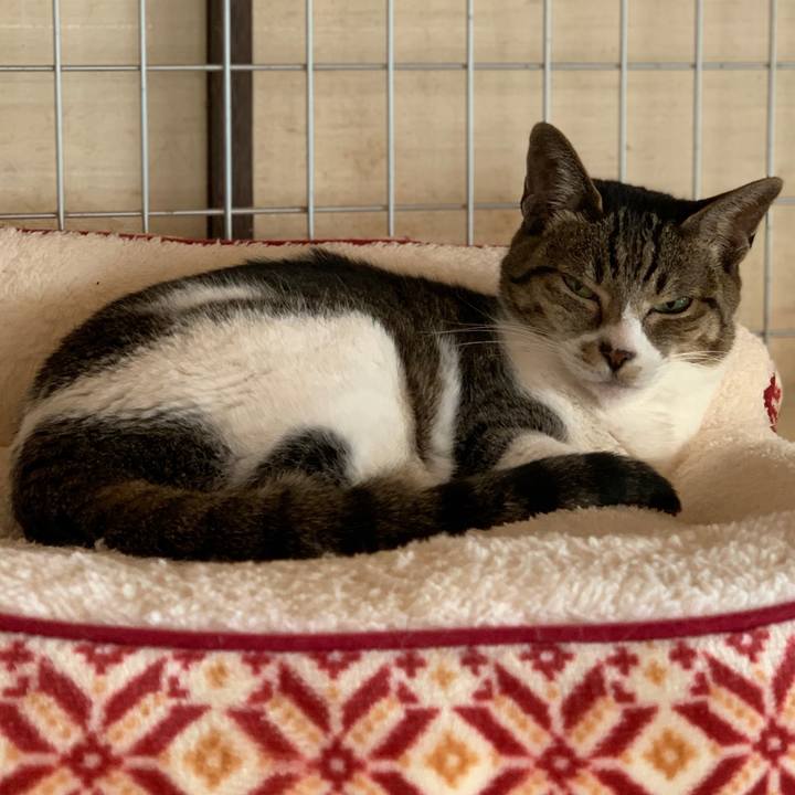 5c0af9c8 3751 45c5 a70c fed4249c7b68 1584573408649