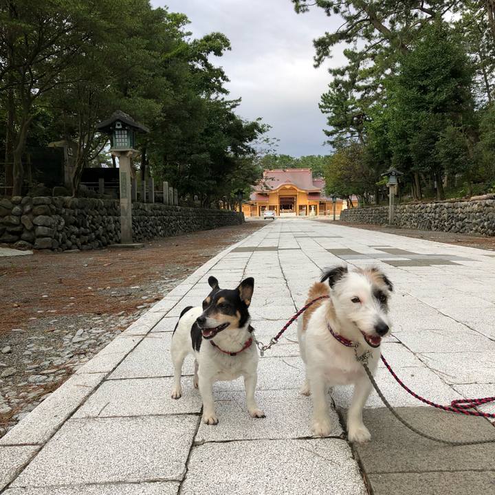 5c0afeb0 06fa 4e3a ab28 e195c68a9de0 1537050751502