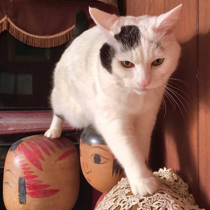 5c0b0cda 035b 4df7 9a77 5ee8bd950858 1575529463027