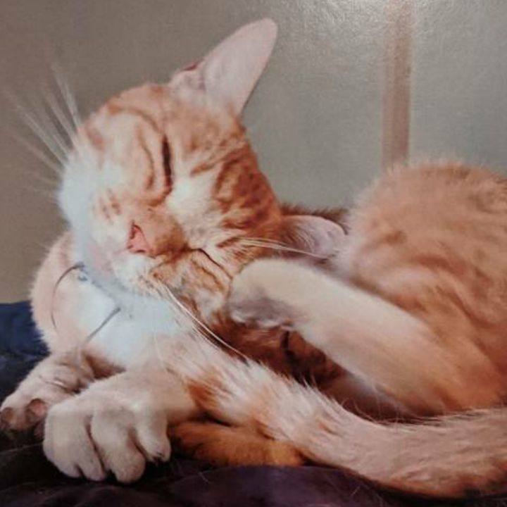 5c0b3c02 9bab 4c1e 8ef5 dd1e11427909 1592051319353