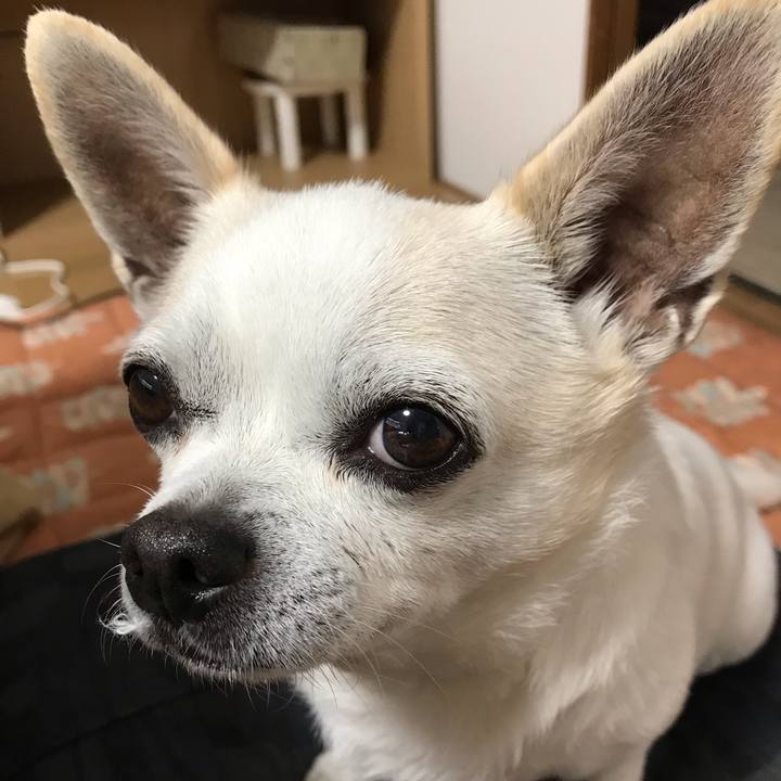 5c0b5c4d 3694 4f7b 9161 5959b4b48237 1563888868066