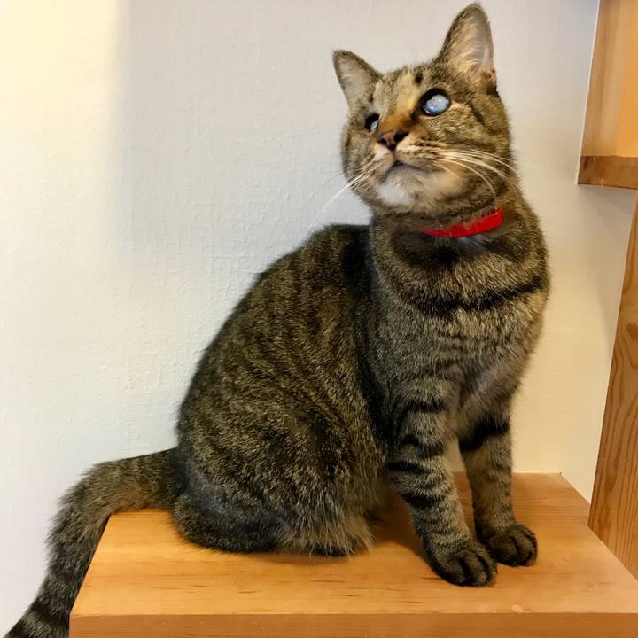 5c0b6b98 0629 423e ab19 5f1c575ee949 1541035597643