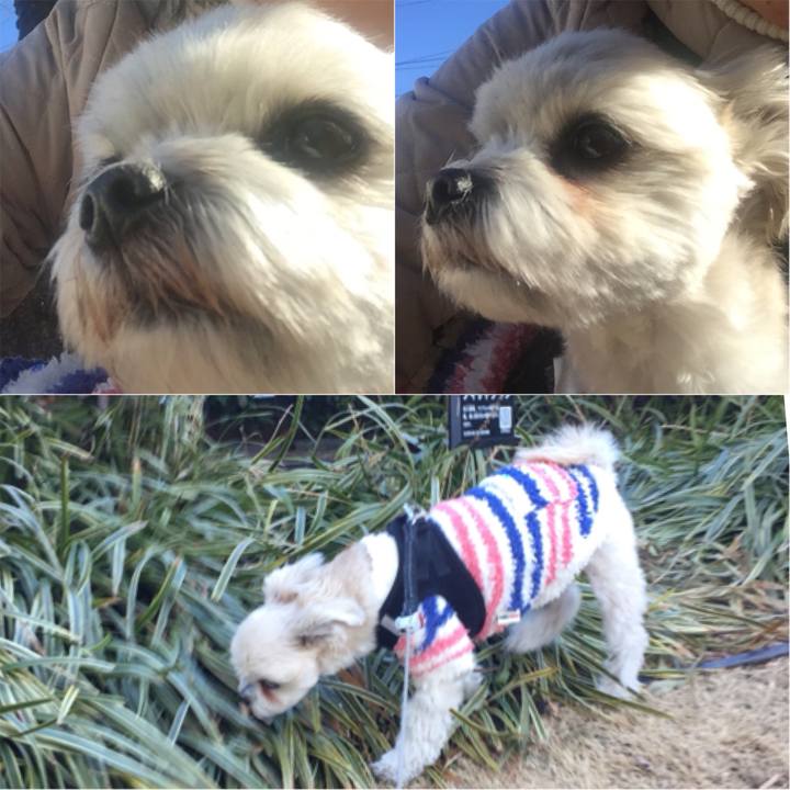 5c0b6e67 e92f 4b2f 8b28 314a3c3d0a15 1515917142207