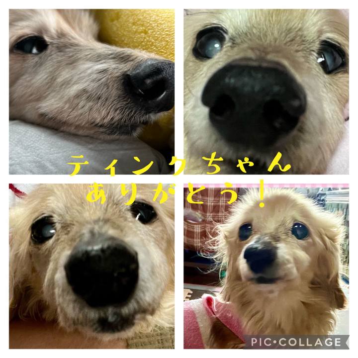5c0baa38 ba4c 43d9 8ee0 8883f03e131b 1718575221056