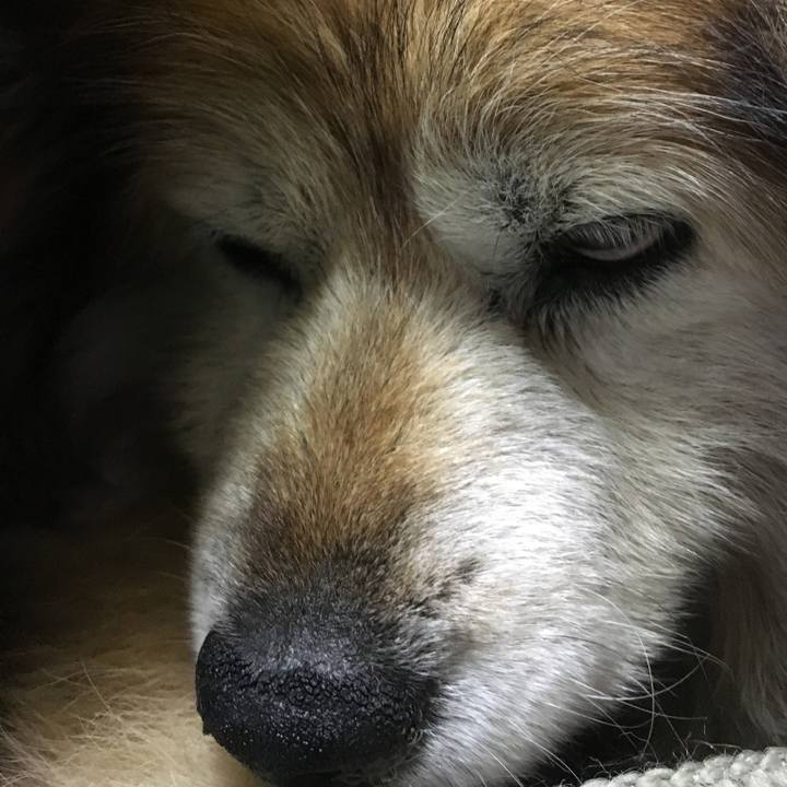 5c0bb9fc 13a8 405f bd5d 55d999ab446f 1609962712518