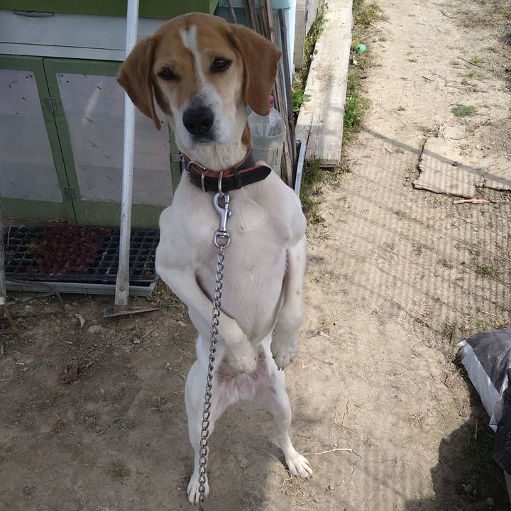 5c0bd1f0 9924 453d a98d 842efbb36077 1658398179936