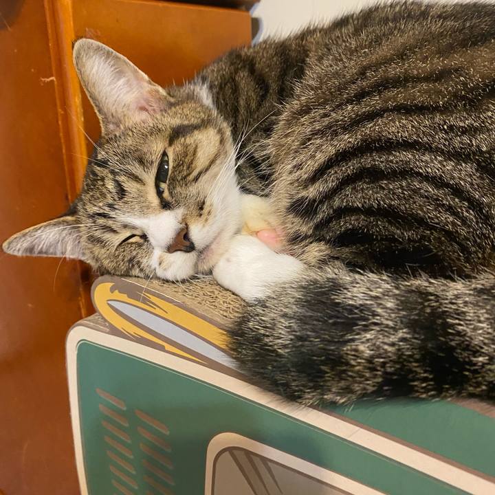 5c0bd2ea 9a59 4af2 bbef 4514a6de2d38 1632852294640