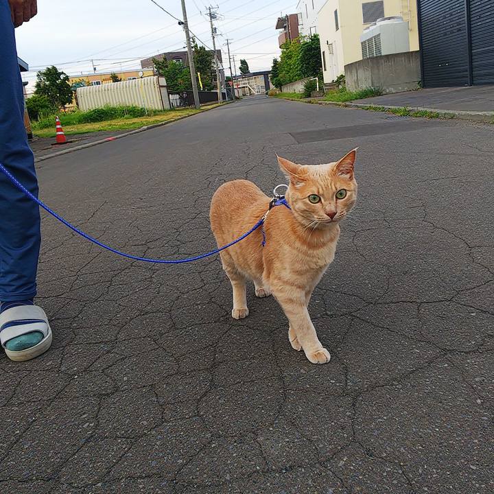 5c0be345 13d8 4aa6 b383 a1c47506de22 1625392001145