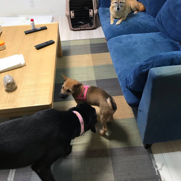 5c0beceb 4bdf 4228 bbce dc9c8bddeefc 1569670006246