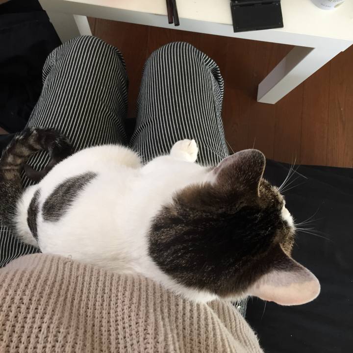 5c0bf103 e70d 458b b3ca cbbf08a6e8c1 1539995184387