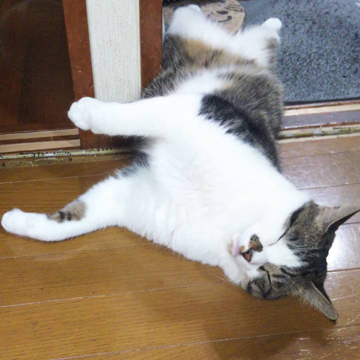 5c0c2000 7361 44f1 b26d 1b1dcc8ae64c 1659266660756