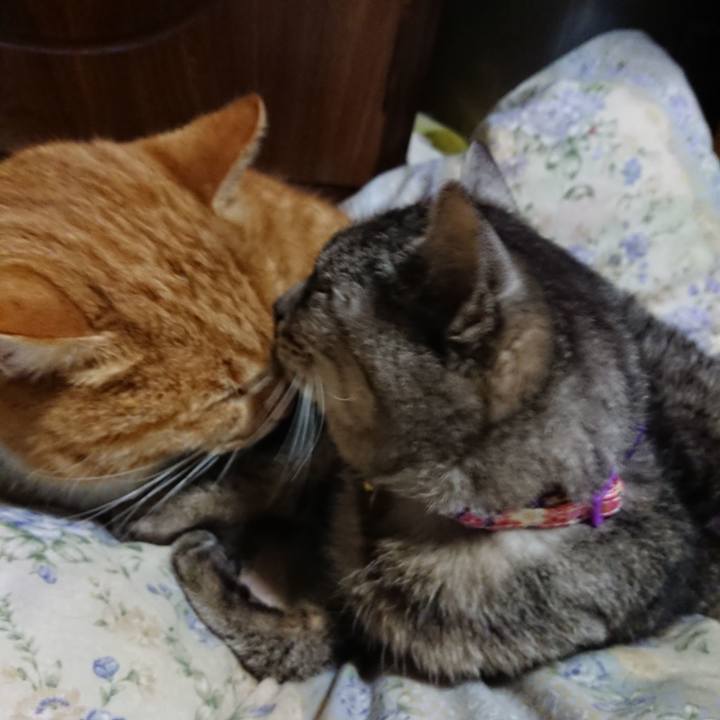 5c0c6617 9368 43b9 8f6f 675bc9ff9575 1578573760331