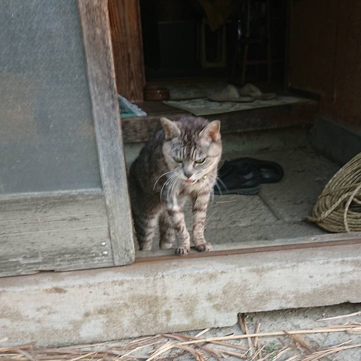 5c0cb549 4dbe 4649 bbed 15408e3c756a 1591736553695