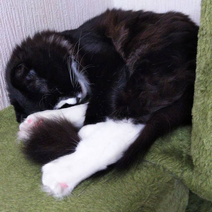 5c0cc983 f692 490f adcb a1355499dcb1 1649219059876