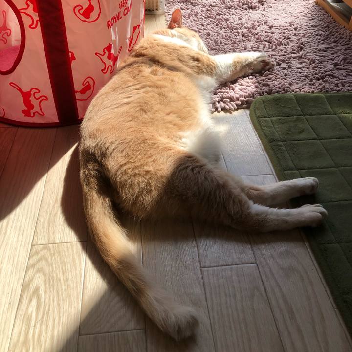 5c0ccbc8 9e6f 4f0a b47c 9b67530457a3 1586047593637