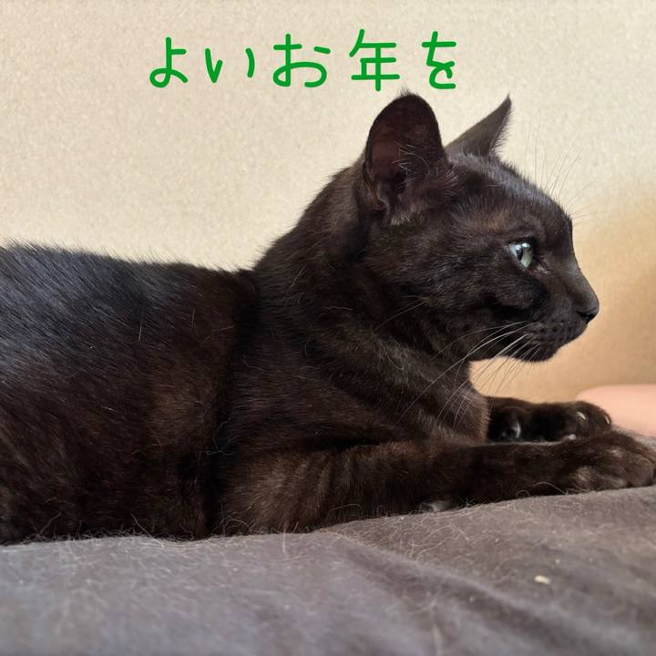 5c0cd2bb 7873 4a81 8d72 d3191289e4e9 1767130215132