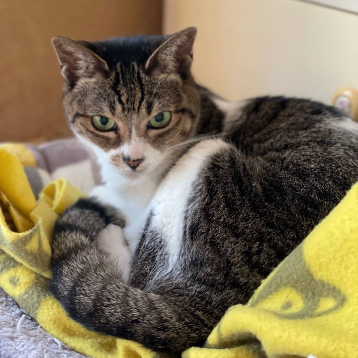 5c0cd805 6d0e 4da6 9d77 d2bbf49a350d 1643335712578