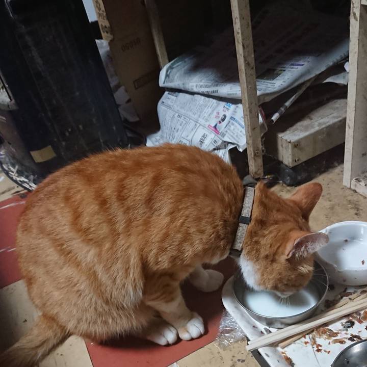 5c0cea2d fe2b 4f44 ae57 223cab30656e 1595450710010