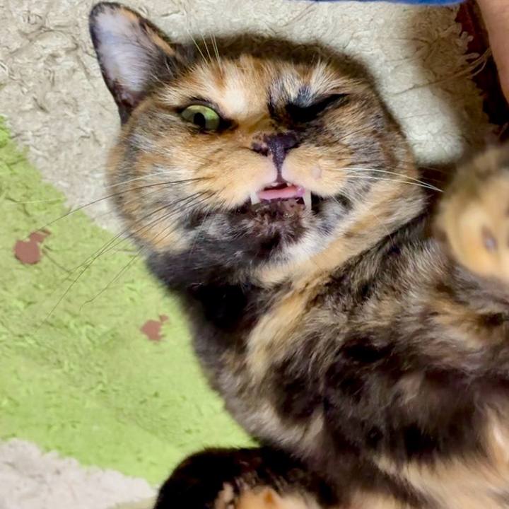 5c0d35dd 6dbf 47f0 988c 366738ea0b1f 1751573577777