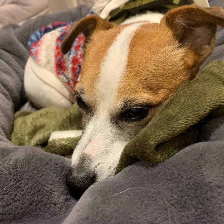 5c0d5cb0 c70f 46ee 8678 9fc21981f2ca 1606897831649