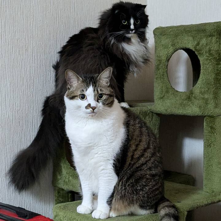 5c0daaf5 e003 44a3 927b 687f29146216 1734641239108