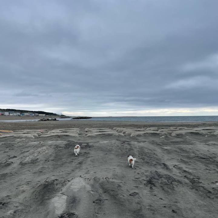 5c0defa7 e668 4b1e ab67 286aabc74ea8 1716247717673