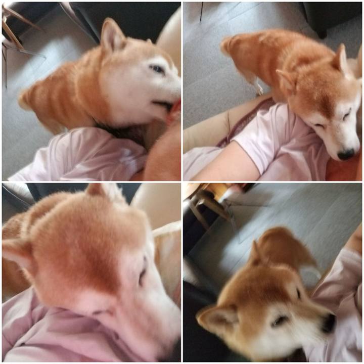 5c0e209c 97cb 4a51 9183 1612b8d753ae 1627110446039