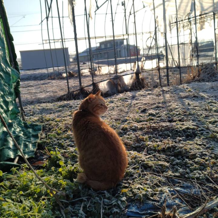 5c0e2aae b026 489e 8c77 abef6d0995f9 1678831568270