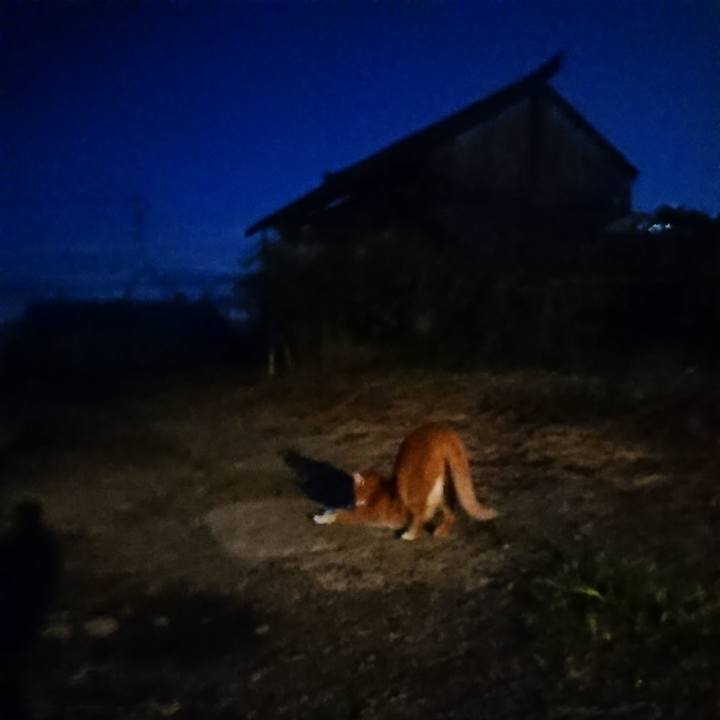 5c0e3bd3 91b5 4069 a2c7 b42680cbeec9 1601198625750