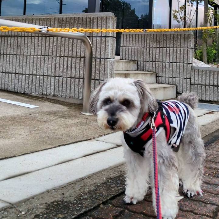 5c0e3dcb 6468 4b40 aeb1 798a48ae4ff6 1752880362912