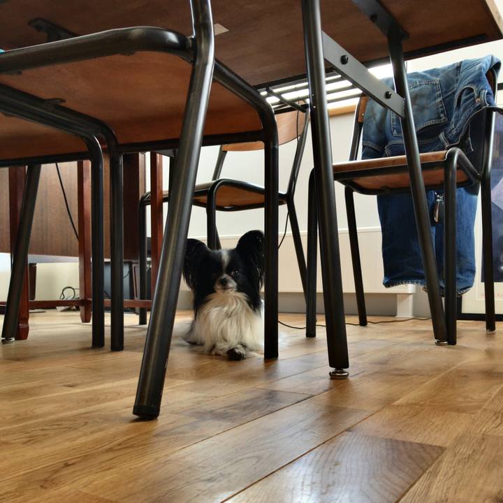 5c0e54c4 22da 4bc6 ac14 b519124e990a 1524995003285