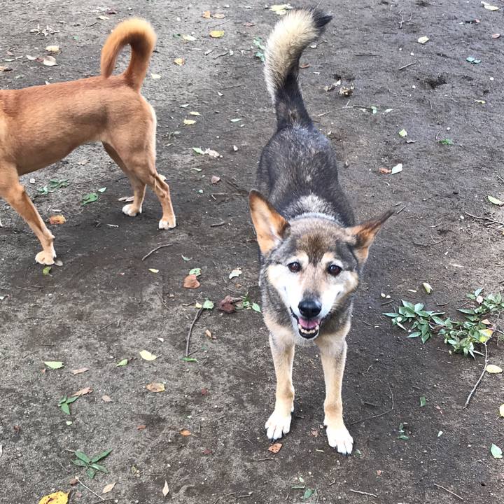 5c0e5e1d b626 487d a2b7 fe8099f742fa 1537793499901