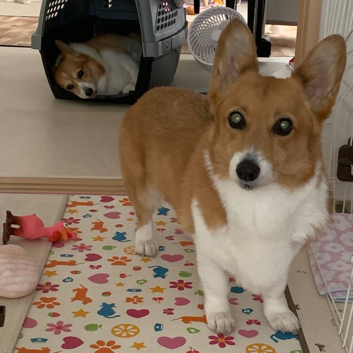 5c0e6835 04db 412b b3ed c052df934dda 1718535350406