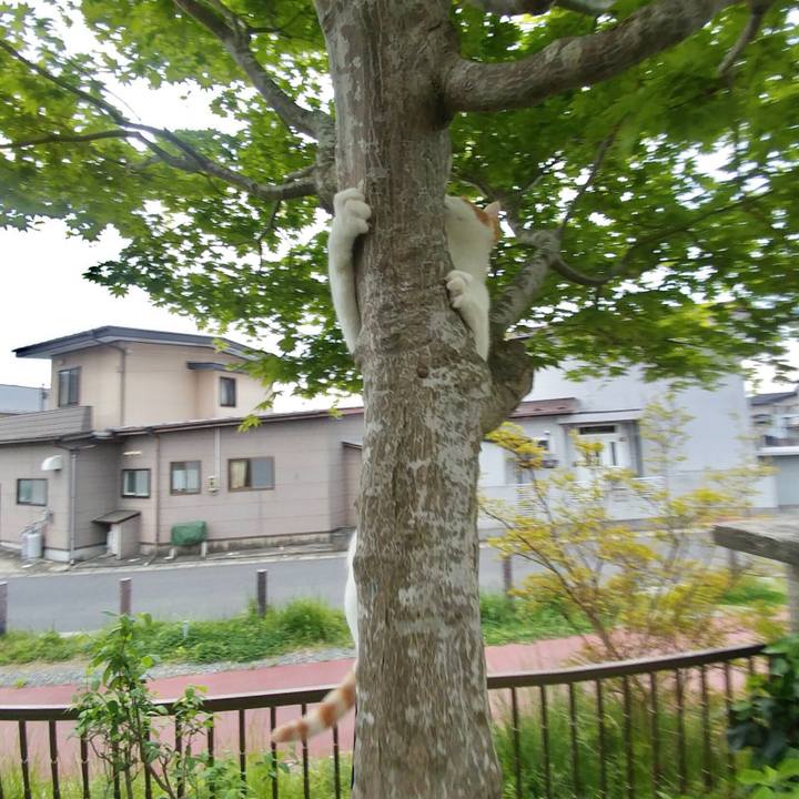 5c0ea3c0 cca4 44b2 8eaf 6fbe8d6a923b 1525597678837