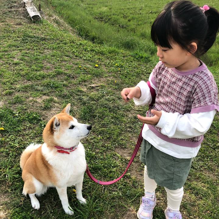 5c0ed289 f557 4ba4 9630 ae7ad485571e 1680173712710