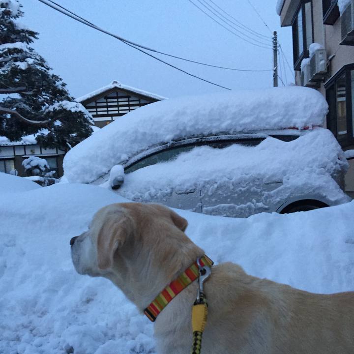 5c0f3781 983e 429c a41c f009b21244c0 1671441783333